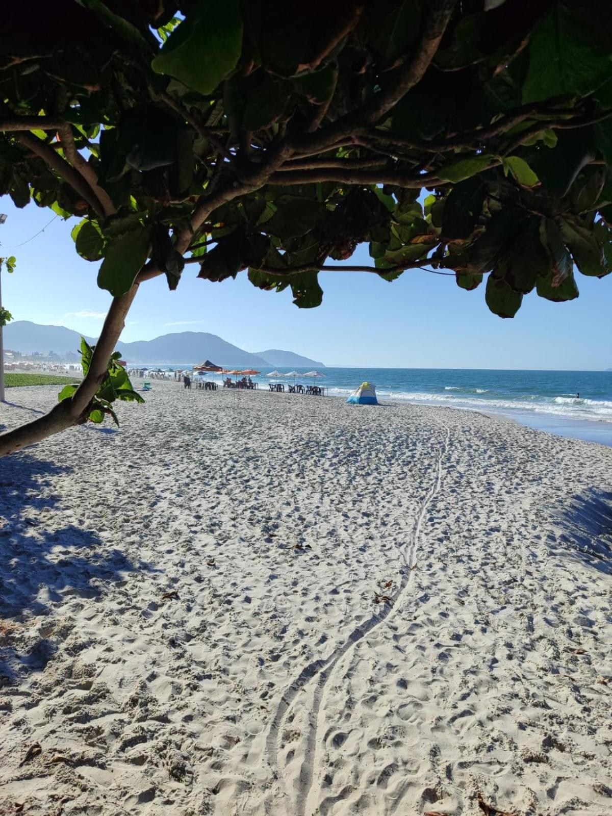 Apartamento De 2 Dormitorios Florianópolis 외부 사진